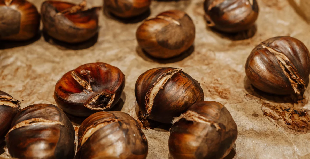 Roasted chestnuts split open on baking paper for La&nbsp;Castanyada